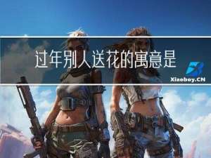 过年别人送花的寓意是什么