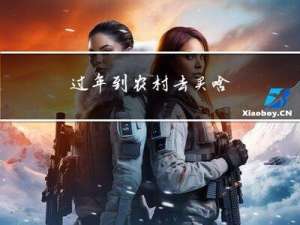 过年到农村去买啥