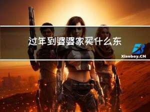 过年到婆婆家买什么东西