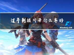 过年到银川开什么车好