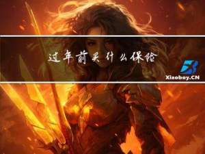 过年前买什么保险