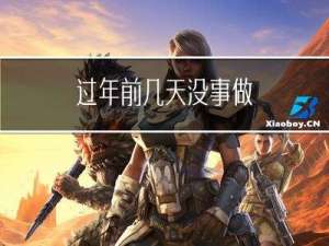 过年前几天没事做