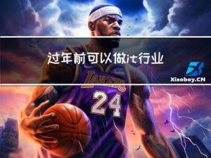 过年前可以做it行业吗