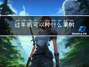 过年前可以种什么果树