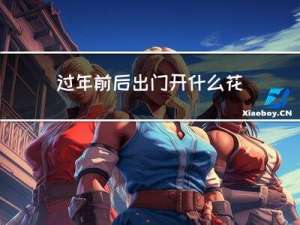 过年前后出门开什么花