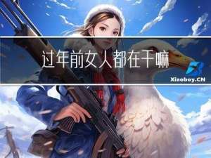 过年前女人都在干嘛