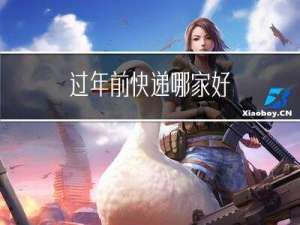 过年前快递哪家好