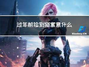 过年前捡到猫寓意什么生肖