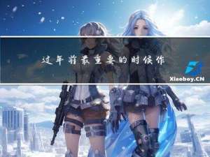 过年前最重要的时候作文