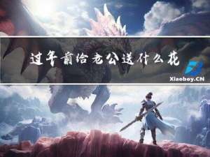 过年前给老公送什么花