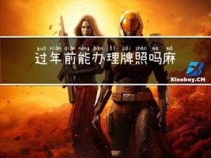 过年前能办理牌照吗麻将