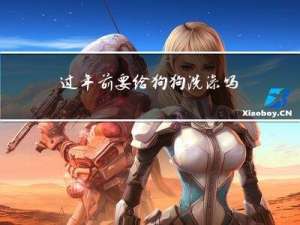 过年前要给狗狗洗澡吗