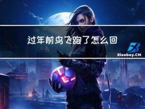过年前鸟飞跑了怎么回事