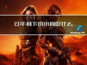 过年剩下的小狗吃什么食物