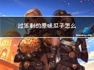 过年剩的原味瓜子怎么吃