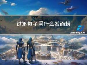 过年包子用什么发面粉