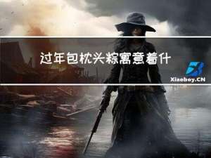 过年包枕头粽寓意着什么