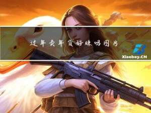 过年卖年货好赚吗图片