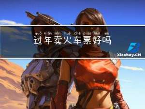 过年卖火车票好吗
