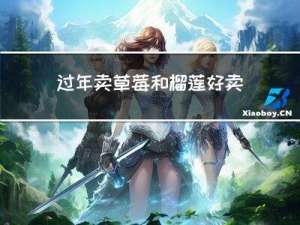 过年卖草莓和榴莲好卖吗