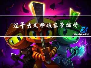 过年去丈母娘家带烟吗