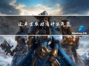 过年去农村有什么气氛的