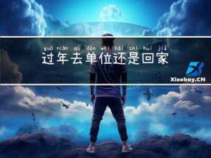 过年去单位还是回家