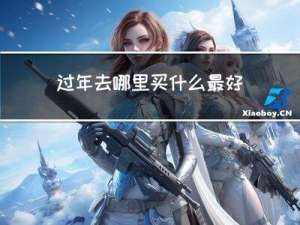 过年去哪里买什么最好