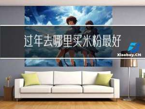 过年去哪里买米粉最好的