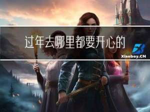 过年去哪里都要开心的句子