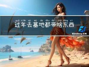 过年去墓地都带啥东西