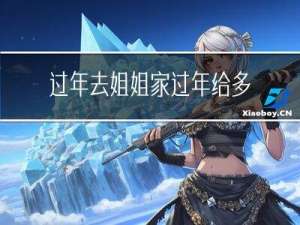 过年去姐姐家过年给多少钱
