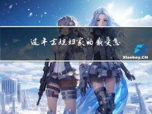 过年去媳妇家的感受怎么写