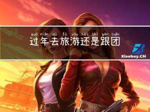 过年去旅游还是跟团