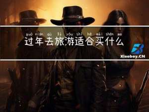 过年去旅游适合买什么特产