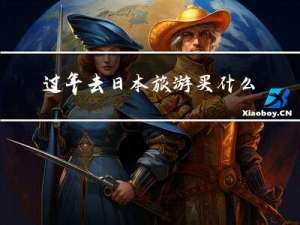 过年去日本旅游买什么电器