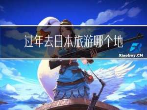 过年去日本旅游哪个地方好