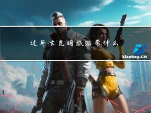 过年去昆明旅游带什么