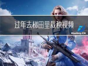 过年去梯田里栽秧视频讲解