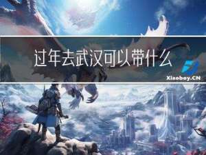 过年去武汉可以带什么东西