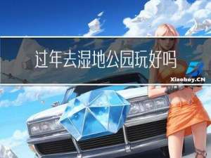 过年去湿地公园玩好吗作文