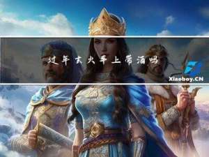 过年去火车上带酒吗