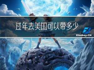 过年去美国可以带多少钱