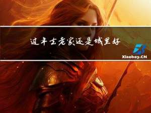 过年去老家还是城里好玩