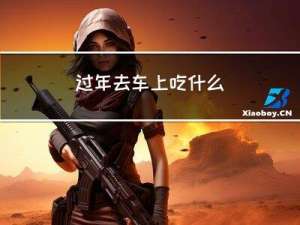 过年去车上吃什么