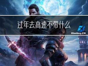 过年去高速不带什么