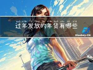 过年发放的年货有哪些作文