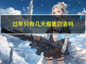 过年只有几天假要回去吗