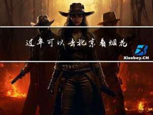 过年可以去北京看烟花吗