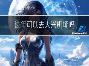 过年可以去大兴机场吗